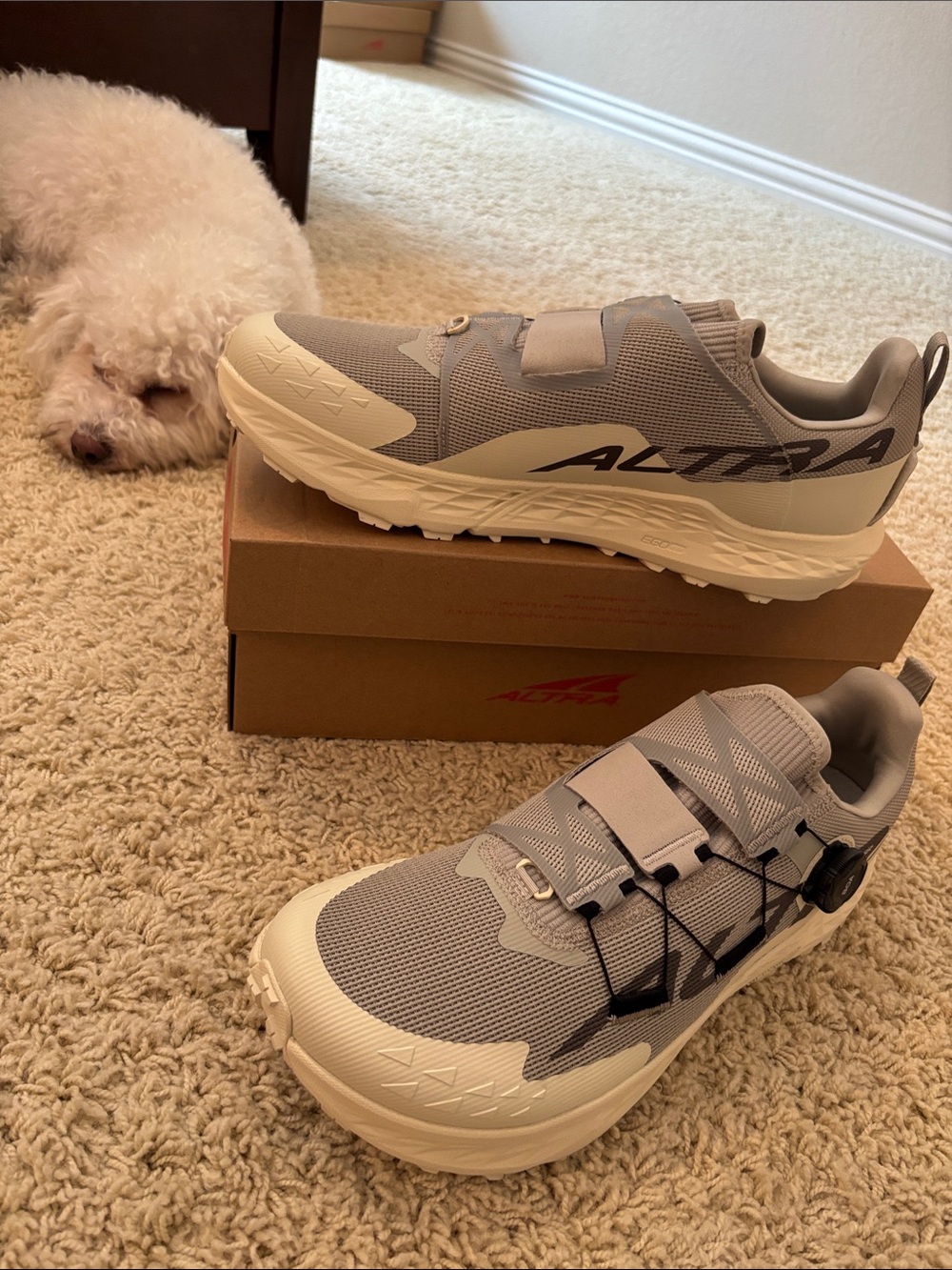 Altra M Timp 5 BOA Trail Running shoes